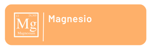 Magnesio