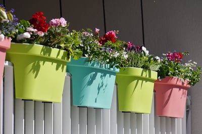 flores-macetas-colores-valla-blanca