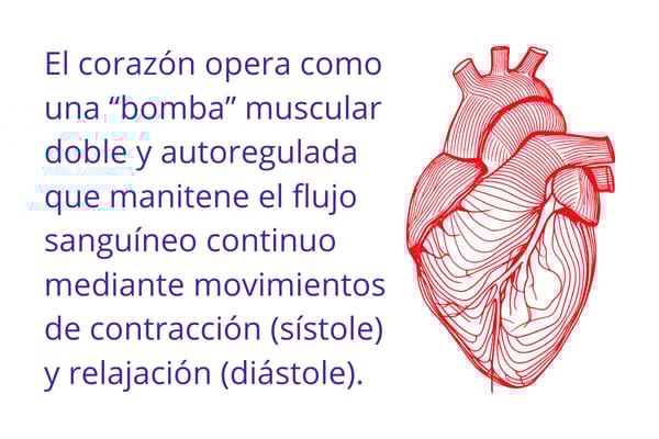 leer_tensiom_interna1